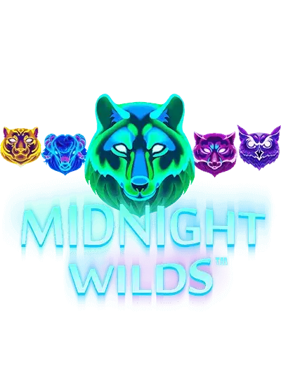 bdlevel777 মিডনাইট ওয়াইল্ড